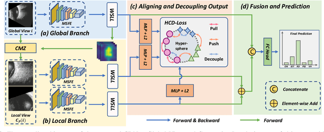 Figure 2 for CDNet: Contrastive Disentangled Network for Fine-Grained Image Categorization of Ocular B-Scan Ultrasound