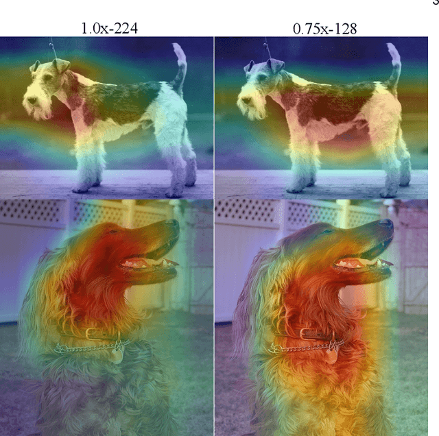 Figure 2 for MutualNet: Adaptive ConvNet via Mutual Learning from Different Model Configurations