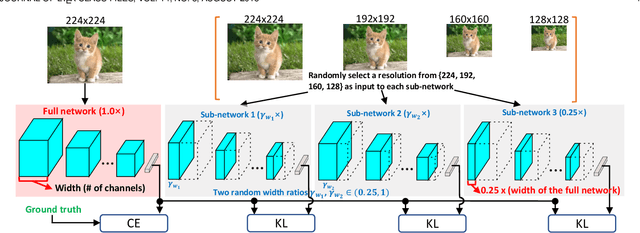 Figure 3 for MutualNet: Adaptive ConvNet via Mutual Learning from Different Model Configurations