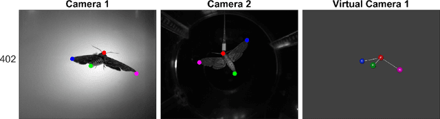 Figure 1 for Automating Image Analysis by Annotating Landmarks with Deep Neural Networks