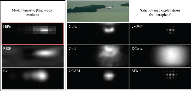 Figure 1 for Believe The HiPe: Hierarchical Perturbation for Fast and Robust Explanation of Black Box Models