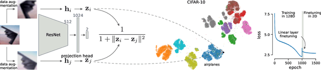 Figure 1 for Unsupervised visualization of image datasets using contrastive learning