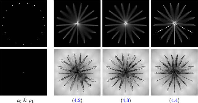 Figure 4 for A Framework for Wasserstein-1-Type Metrics