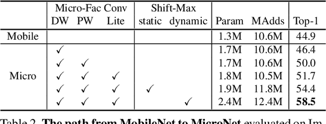 Figure 4 for MicroNet: Improving Image Recognition with Extremely Low FLOPs