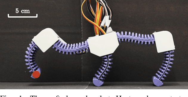 Figure 1 for Safe Balancing Control of a Soft Legged Robot