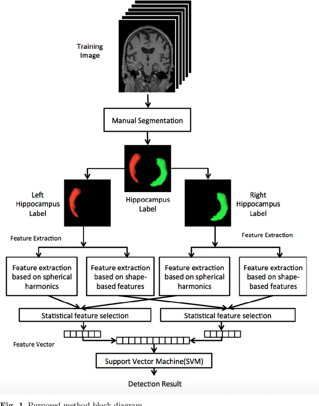 Figure 1 for Hippocampus Temporal Lobe Epilepsy Detection using a Combination of Shape-based Features and Spherical Harmonics Representation