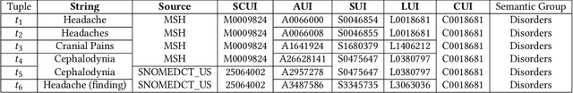 Figure 1 for UVA Resources for the Biomedical Vocabulary Alignment at Scale in the UMLS Metathesaurus