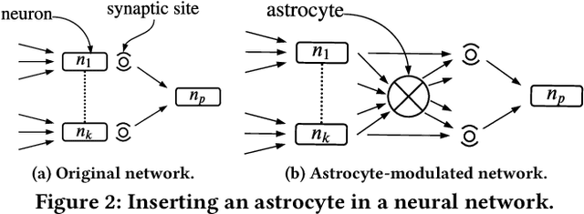 Figure 2 for A Design Methodology for Fault-Tolerant Computing using Astrocyte Neural Networks
