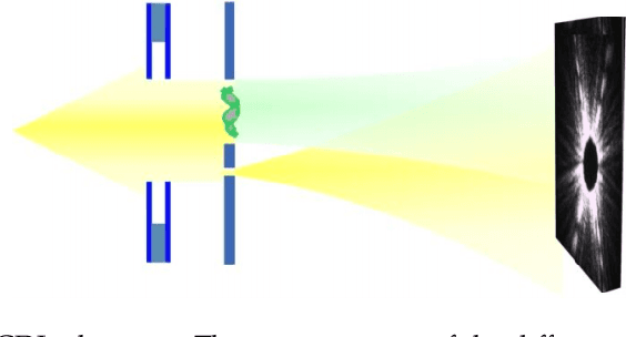 Figure 1 for Dual-Reference Design for Holographic Coherent Diffraction Imaging