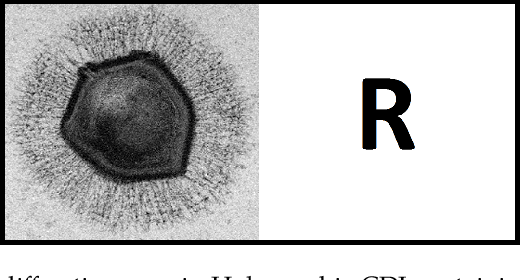 Figure 3 for Dual-Reference Design for Holographic Coherent Diffraction Imaging