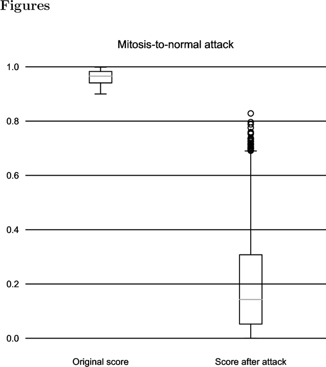 Figure 1 for One-Pixel Attack Deceives Automatic Detection of Breast Cancer