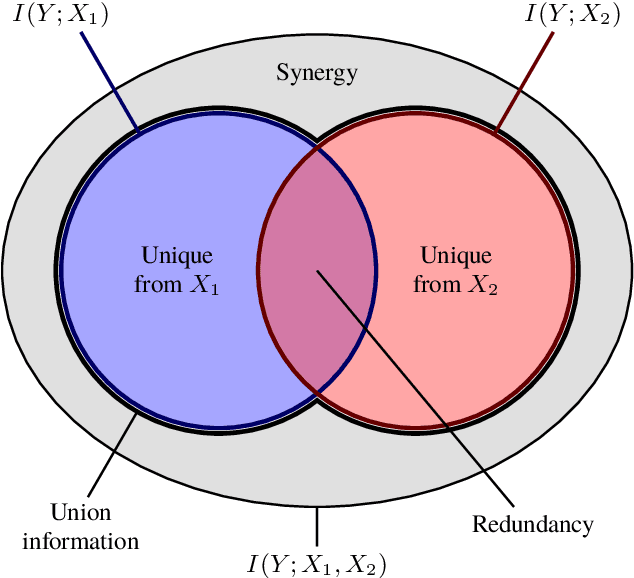 Figure 1 for A novel approach to multivariate redundancy and synergy