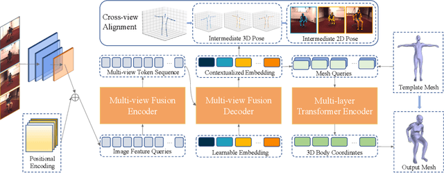 Figure 3 for Multi-view Human Body Mesh Translator