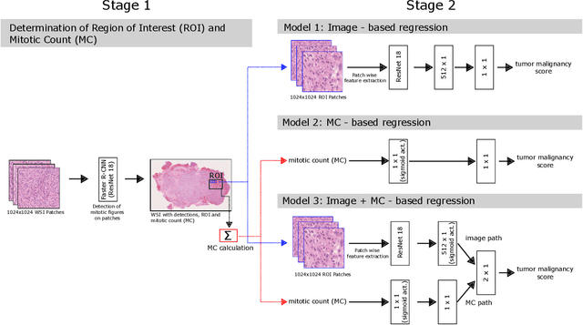 Figure 1 for Automatic and explainable grading of meningiomas from histopathology images