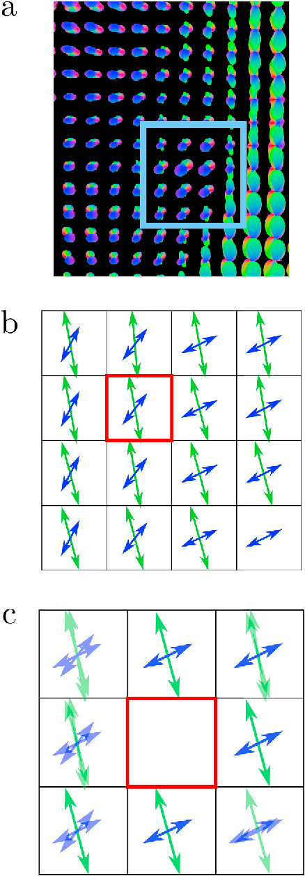 Figure 4 for Spatial Coherence of Oriented White Matter Microstructure: Applications to White Matter Regions Associated with Genetic Similarity