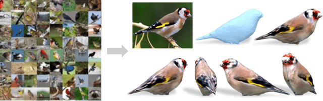 Figure 1 for Shape and Viewpoint without Keypoints