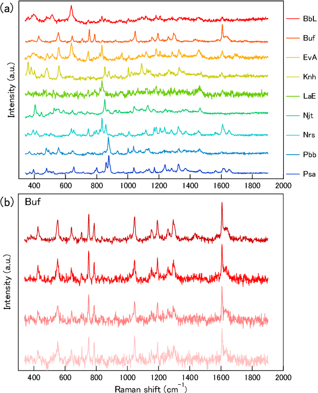 Figure 4 for Feature visualization of Raman spectrum analysis with deep convolutional neural network