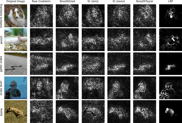 Figure 1 for Understanding Integrated Gradients with SmoothTaylor for Deep Neural Network Attribution