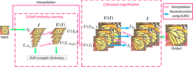 Figure 1 for Kernel based low-rank sparse model for single image super-resolution