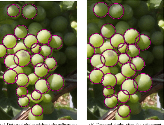 Figure 4 for Automated Image Analysis Framework for the High-Throughput Determination of Grapevine Berry Sizes Using Conditional Random Fields