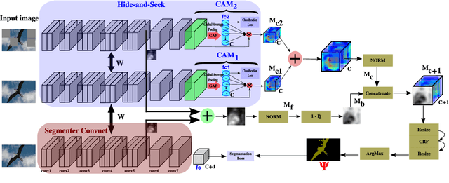 Figure 1 for Learning to Exploit the Prior Network Knowledge for Weakly-Supervised Semantic Segmentation