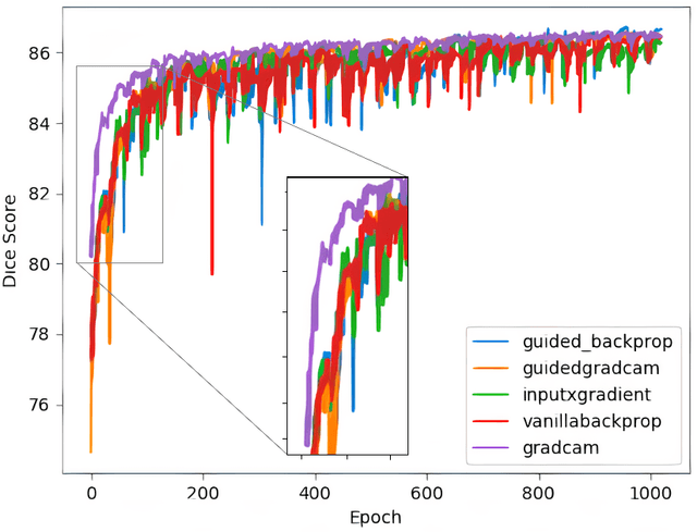 Figure 4 for On the Impact of Interpretability Methods in Active Image Augmentation Method