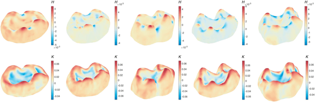 Figure 3 for Shape analysis via inconsistent surface registration