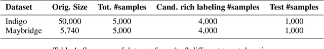 Figure 2 for Self-Labeling of Fully Mediating Representations by Graph Alignment