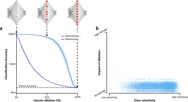 Figure 2 for Analyzing biological and artificial neural networks: challenges with opportunities for synergy?