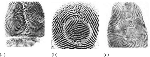 Figure 1 for Single architecture and multiple task deep neural network for altered fingerprint analysis