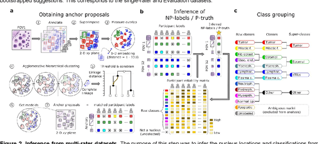 Figure 3 for NuCLS: A scalable crowdsourcing, deep learning approach and dataset for nucleus classification, localization and segmentation