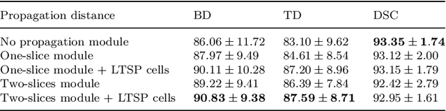 Figure 4 for LTSP: Long-Term Slice Propagation for Accurate Airway Segmentation