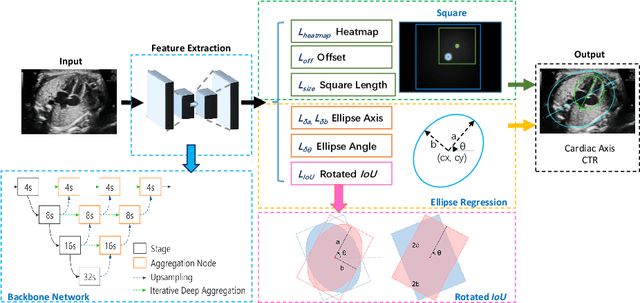 Figure 1 for EllipseNet: Anchor-Free Ellipse Detection for Automatic Cardiac Biometrics in Fetal Echocardiography
