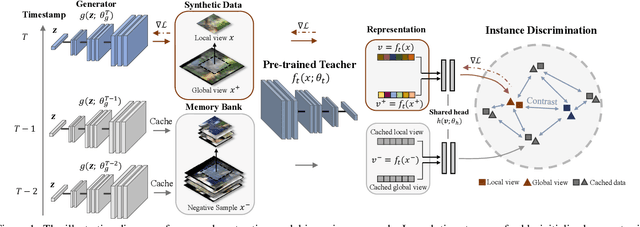 Figure 1 for Contrastive Model Inversion for Data-Free Knowledge Distillation