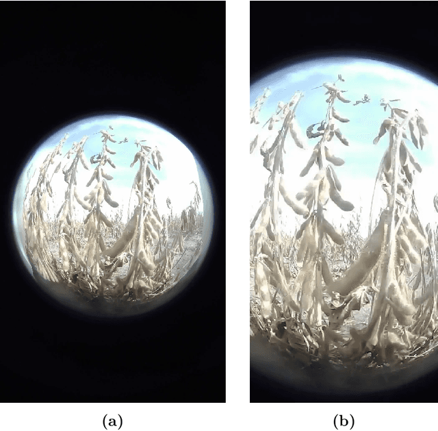 Figure 4 for High Throughput Soybean Pod-Counting with In-Field Robotic Data Collection and Machine-Vision Based Data Analysis