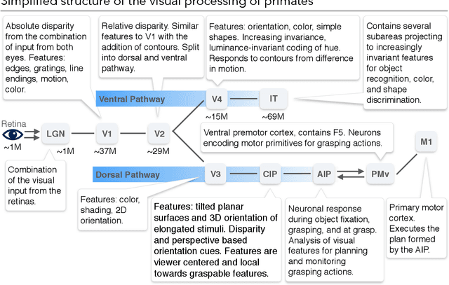 Figure 4 for Human Visual Understanding for Cognition and Manipulation -- A primer for the roboticist