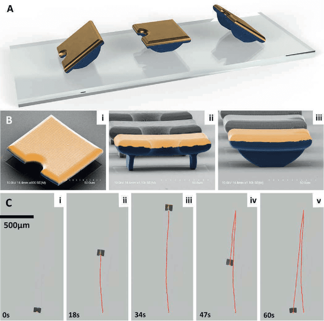 Figure 1 for Bidirectional Microrocker Bots with Sharp Tips Actuated by a Single Electromagnet