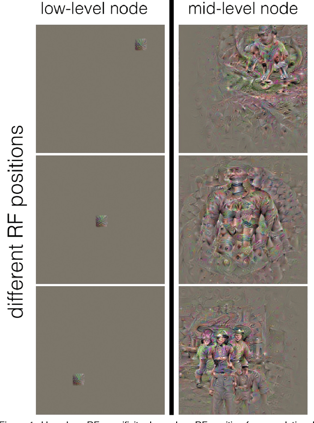 Figure 1 for Node Specificity in Convolutional Deep Nets Depends on Receptive Field Position and Size