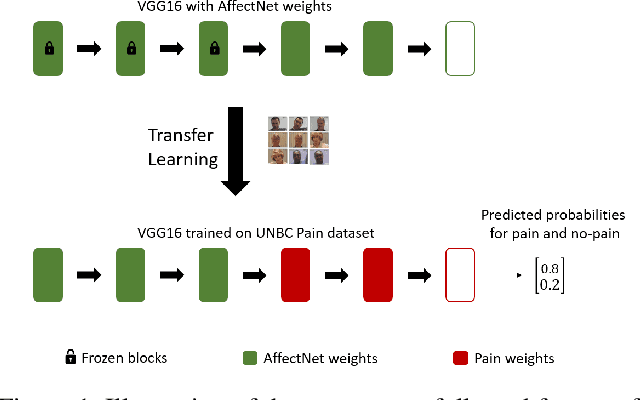 Figure 1 for Do Deep Neural Networks Forget Facial Action Units? -- Exploring the Effects of Transfer Learning in Health Related Facial Expression Recognition