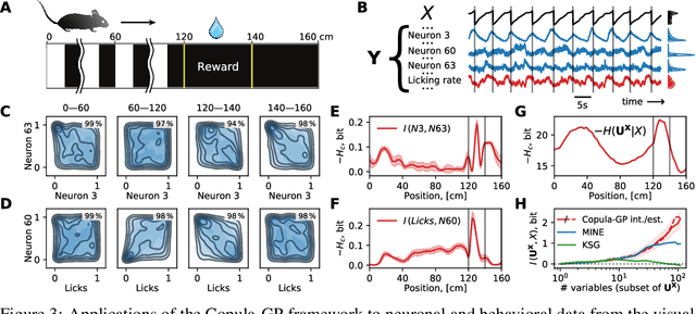 Figure 4 for Parametric Copula-GP model for analyzing multidimensional neuronal and behavioral relationships