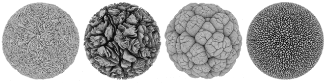 Figure 1 for Deep Learning of Individual Aesthetics