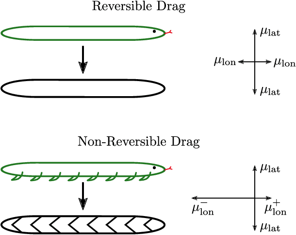 Figure 1 for Scales and Locomotion: Non-Reversible Longitudinal Drag