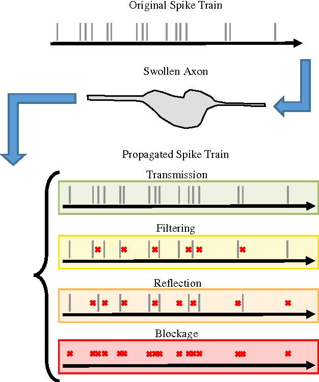 Figure 3 for Modeling cognitive deficits following neurodegenerative diseases and traumatic brain injuries with deep convolutional neural networks