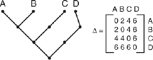 Figure 3 for A Novel Bio-Inspired Texture Descriptor based on Biodiversity and Taxonomic Measures