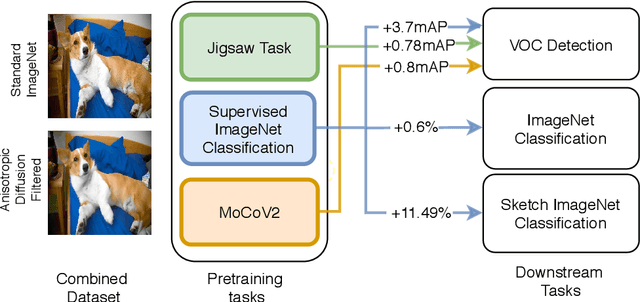 Figure 1 for Learning Visual Representations for Transfer Learning by Suppressing Texture