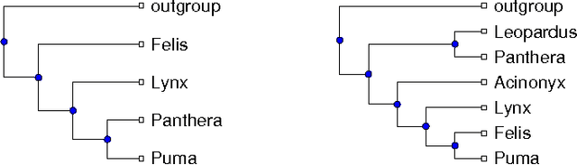 Figure 1 for Optimizing Phylogenetic Supertrees Using Answer Set Programming