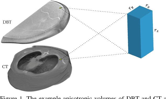Figure 1 for 3D Anisotropic Hybrid Network: Transferring Convolutional Features from 2D Images to 3D Anisotropic Volumes