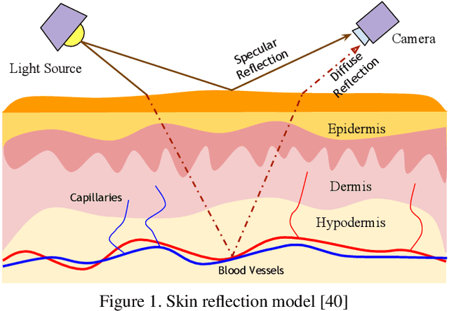 Figure 1 for The First Vision For Vitals Challenge for Non-Contact Video-Based Physiological Estimation