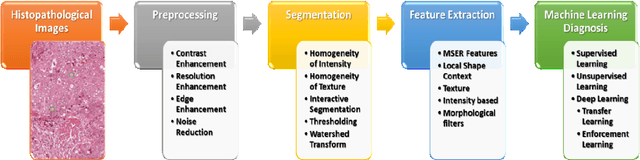Figure 3 for Objective Diagnosis for Histopathological Images Based on Machine Learning Techniques: Classical Approaches and New Trends