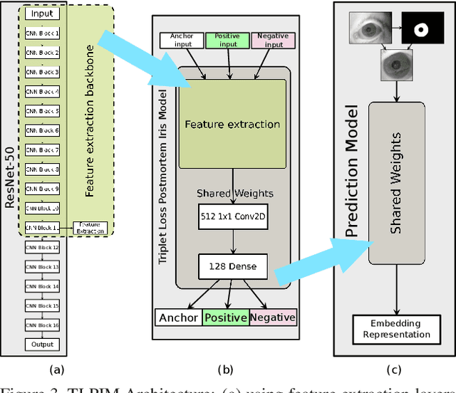 Figure 4 for Interpretable Deep Learning-Based Forensic Iris Segmentation and Recognition